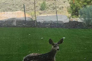 9080 N Uinta Dr, Kamas, UT 84036 - Photo 15