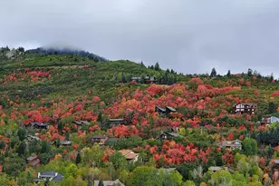 7436 Tall Oaks Dr, Park City, UT 84098 - Photo 5
