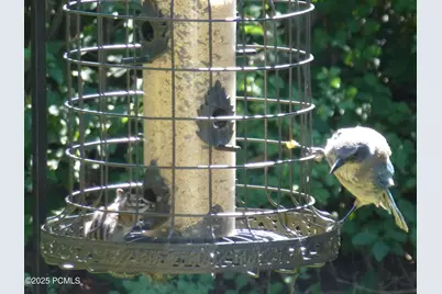 7436 Tall Oaks Drive, Park City, UT 84098 - Photo 39