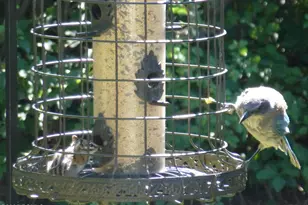 7436 Tall Oaks Dr, Park City, UT 84098 - Photo 39