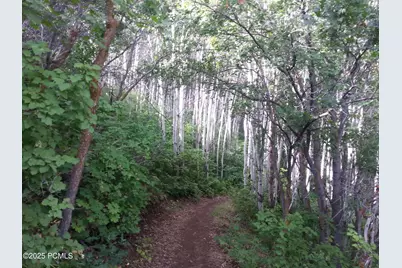 7436 Tall Oaks Drive, Park City, UT 84098 - Photo 45