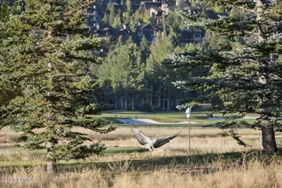 125 Yonex Court, Park City, UT 84060 - Photo 7