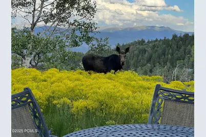 2043 S Pine Meadow Drive, Coalville, UT 84017 - Photo 41