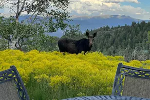 2043 S Pne Mdw Dr, Coalville, UT 84017 - Photo 41