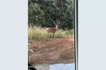 2043 S Pine Meadow Drive, Coalville, UT 84017 - Photo 45