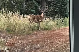 2043 S Pne Mdw Dr, Coalville, UT 84017 - Photo 45