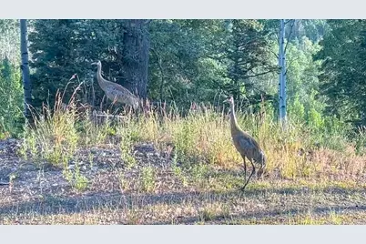 2043 S Pine Meadow Drive, Coalville, UT 84017 - Photo 47