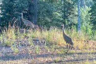 2043 S Pne Mdw Dr, Coalville, UT 84017 - Photo 47