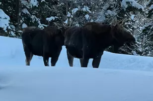 2043 S Pne Mdw Dr, Coalville, UT 84017 - Photo 43