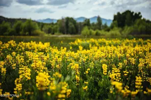 7398 E Moonlight Dr, Heber City, UT 84032 - Photo 39