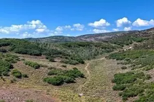 1646 N Miles Holw Rd, Kamas, UT 84036 - Photo 19