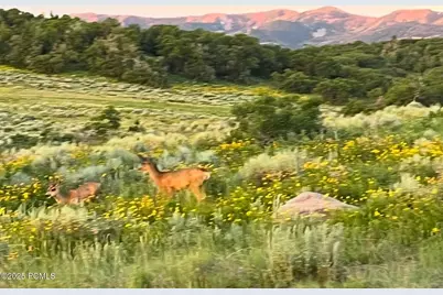 896 W Deer Hill Road, Park City, UT 84098 - Photo 75