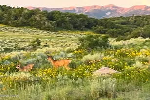 896 W Deer Hl Rd, Park City, UT 84098 - Photo 75