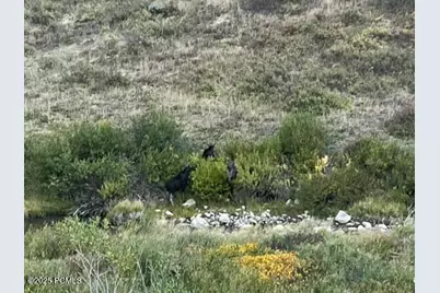 10964 N Chukar Point Drive, Huntsville, UT 84317 - Photo 77