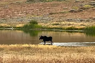 10964 N Chukar Point Dr, Huntsville, UT 84317 - Photo 79