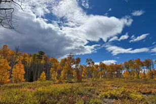 10964 N Chukar Point Dr, Huntsville, UT 84317 - Photo 75