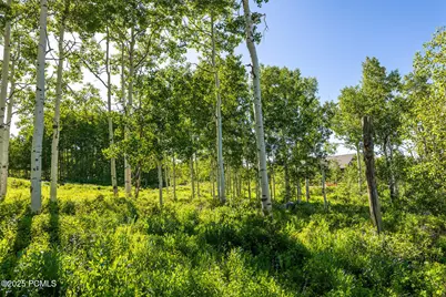 11616 Cliffrose Drive, Heber City, UT 84032 - Photo 9