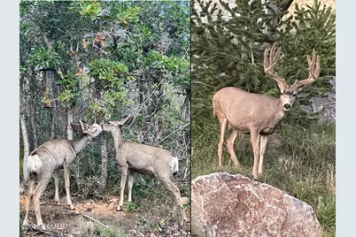 3495 Sun Ridge Drive, Park City, UT 84060 - Photo 43