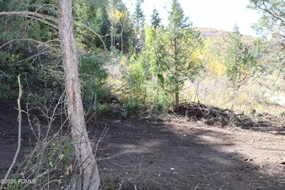 3716 Chokecherry Ln Lane, Kamas, UT 84036 - Photo 9