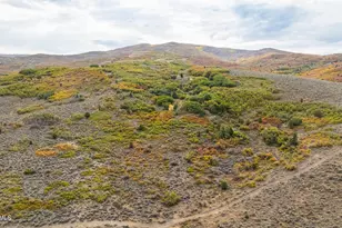 1878 S Remuda Run Ct, Heber City, UT 84032 - Photo 21