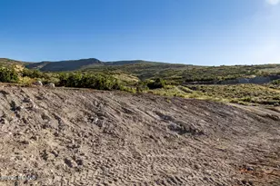 1199 E Wildflower Cir, Heber City, UT 84032 - Photo 13