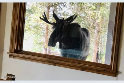 7349 Pine Ridge Drive, Park City, UT 84098 - Photo 53