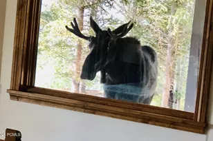 7349 Pine Ridge Dr, Park City, UT 84098 - Photo 53