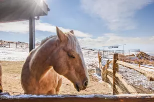355 N Greener Hills Ln, Heber City, UT 84032 - Photo 51