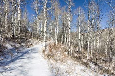 11708 Canyon Rim Road, Oakley, UT 84055 - Photo 37