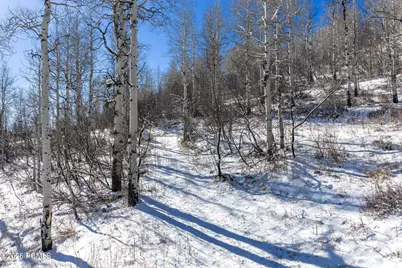 11708 Canyon Rim Road, Oakley, UT 84055 - Photo 31