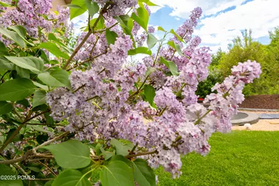 566 Wild Willow Drive, Kamas, UT 84036 - Photo 43