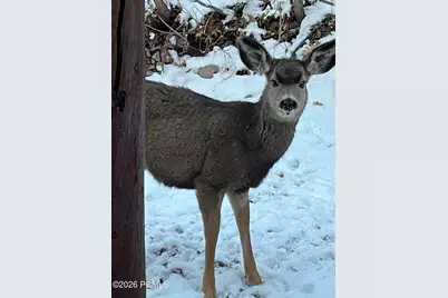 1546 Clyde Lake Drive, Heber City, UT 84032 - Photo 11