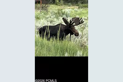 1546 Clyde Lake Drive, Heber City, UT 84032 - Photo 9