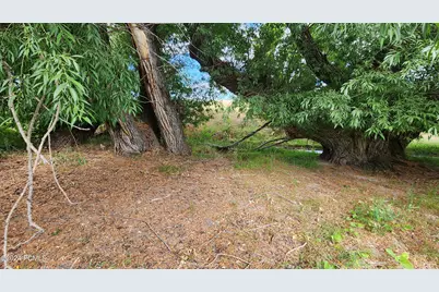 806 Stringtown Road, Midway, UT 84049 - Photo 29