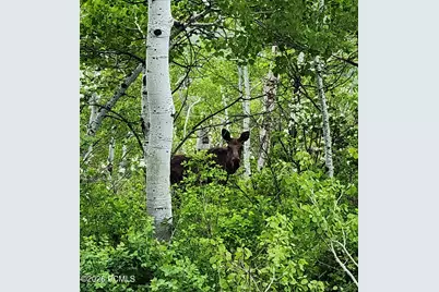 156 Mountain View, Oakley, UT 84055 - Photo 13