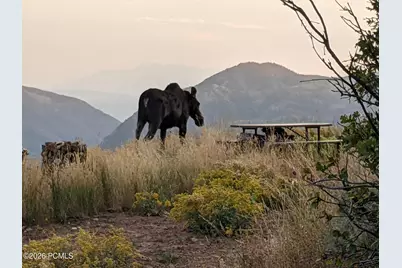 156 Mountain View, Oakley, UT 84055 - Photo 31