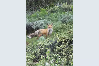 156 Mountain View, Oakley, UT 84055 - Photo 27