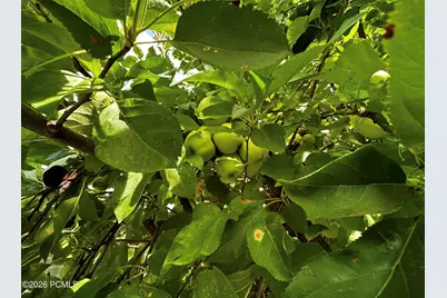 960 E Sagehill Drive, Millcreek, UT 84124 - Photo 31