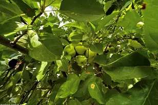 960 E Sagehill Dr, Millcreek, UT 84124 - Photo 31