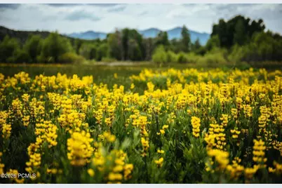 7551 E Stardust Court #316c 2.35, Heber City, UT 84032 - Photo 39