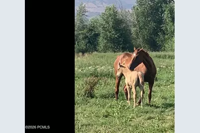 3136 W 2400 South, Heber City, UT 84032 - Photo 17