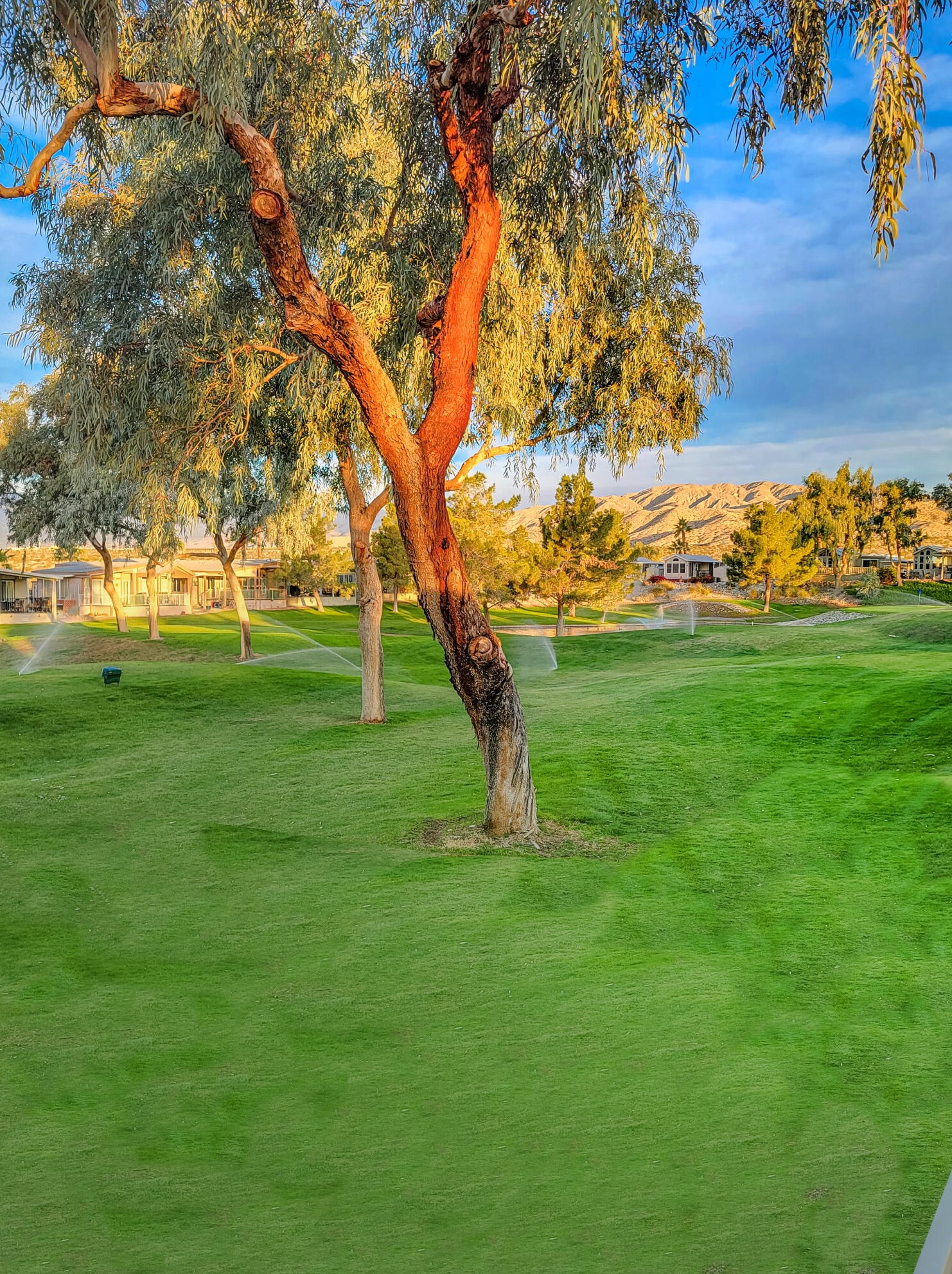 70200 Dillon Rd #632, Desert Hot Springs, CA 92241