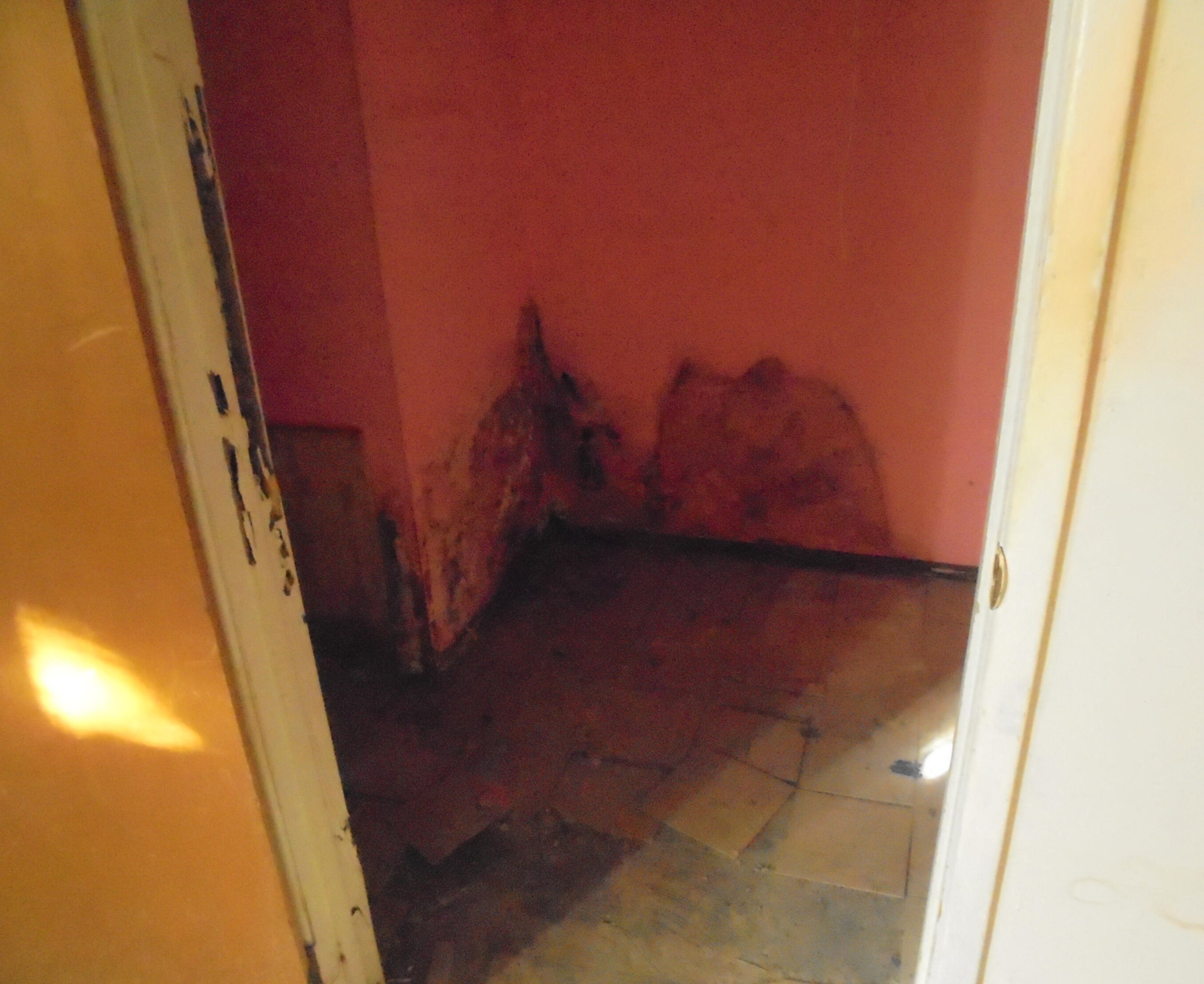 421 Solano Ave, Blythe CA  92225-1439 exterior