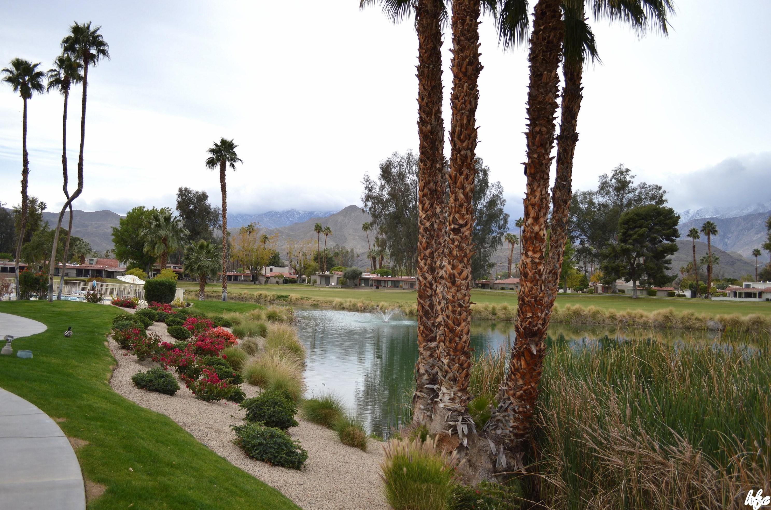 34101 Calle Mora, Cathedral City CA  92234-6768 exterior