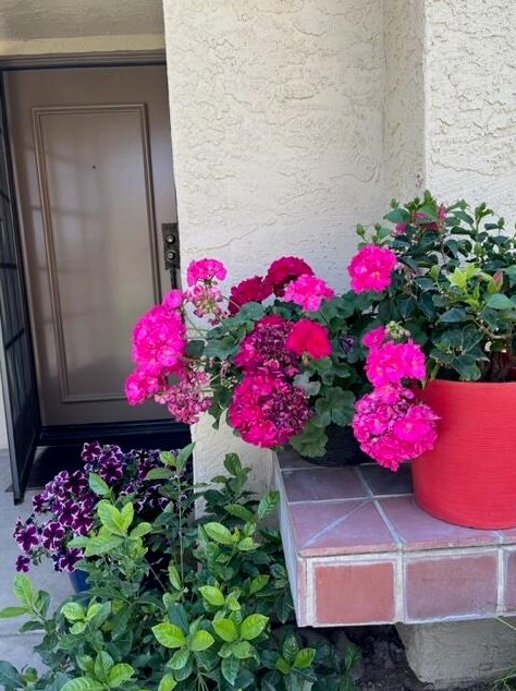 34101 Calle Mora, Cathedral City CA  92234-6768 exterior