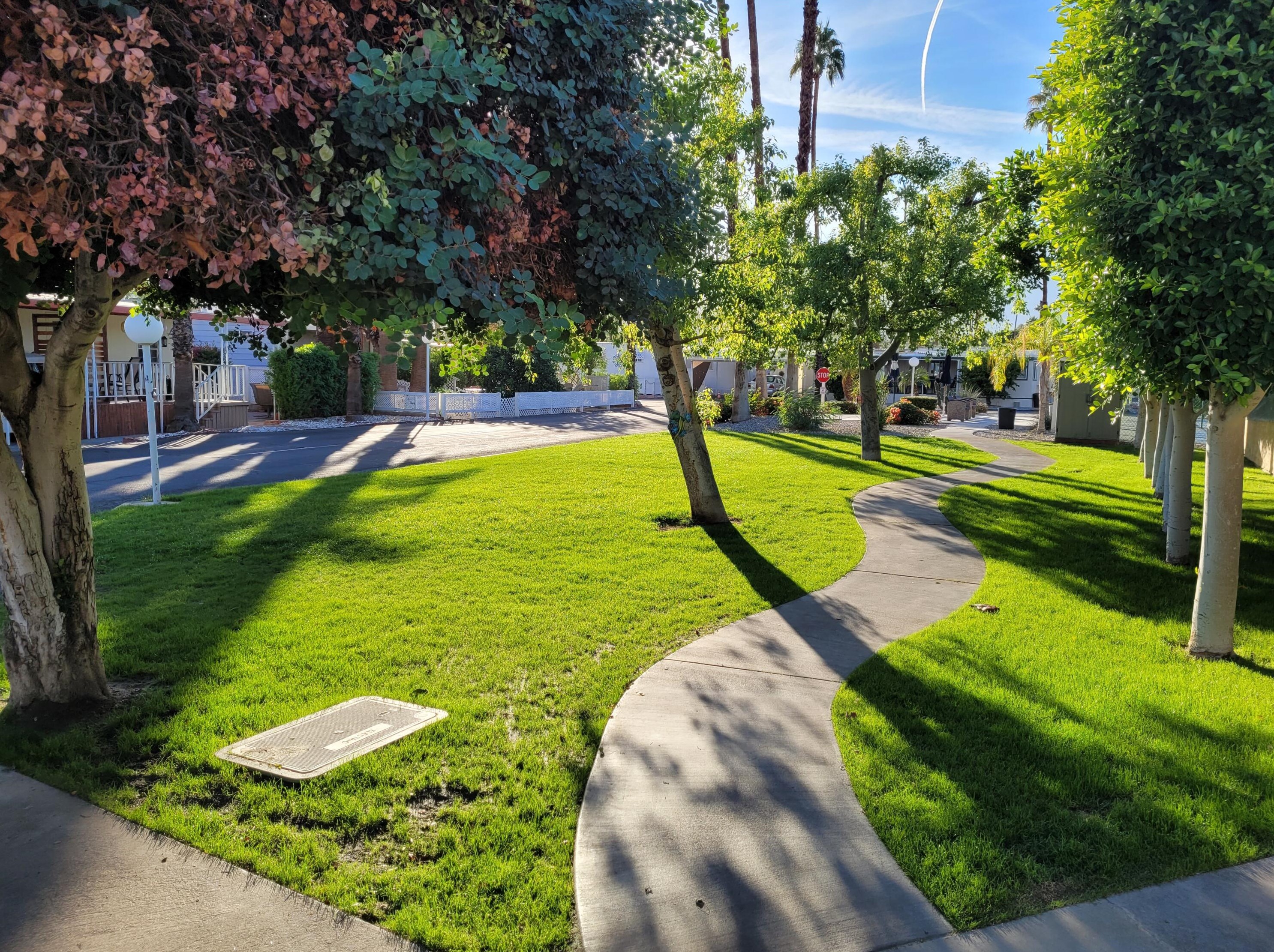 141 Coyote, Cathedral City CA  92234-1003 exterior
