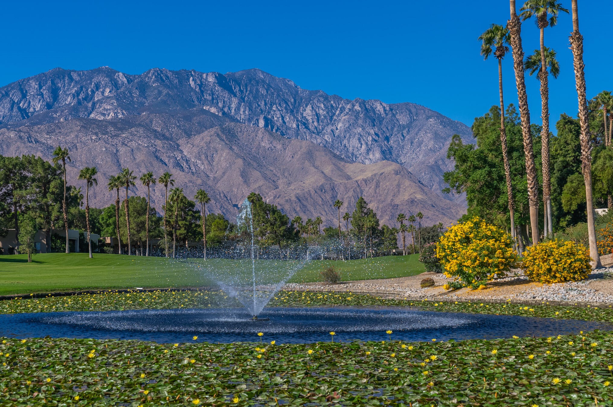 67443 Chimayo Dr, Cathedral City CA  92234-3557 exterior
