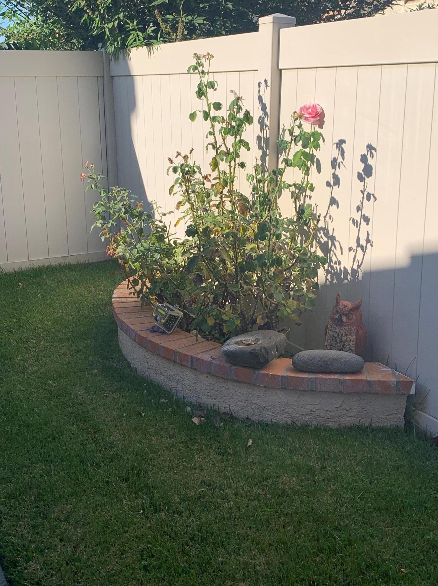 1308 Pleasant Valley Ave, Banning CA  92220-5431 exterior