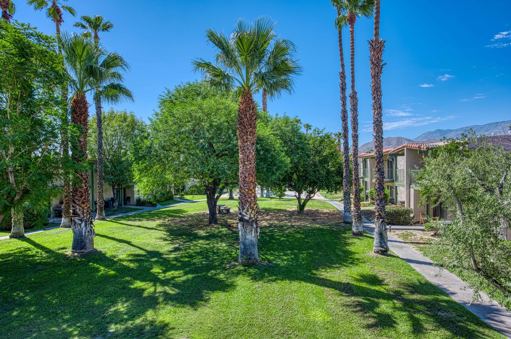 7 Lakeview Cir, Cathedral City CA  92234-6056 exterior