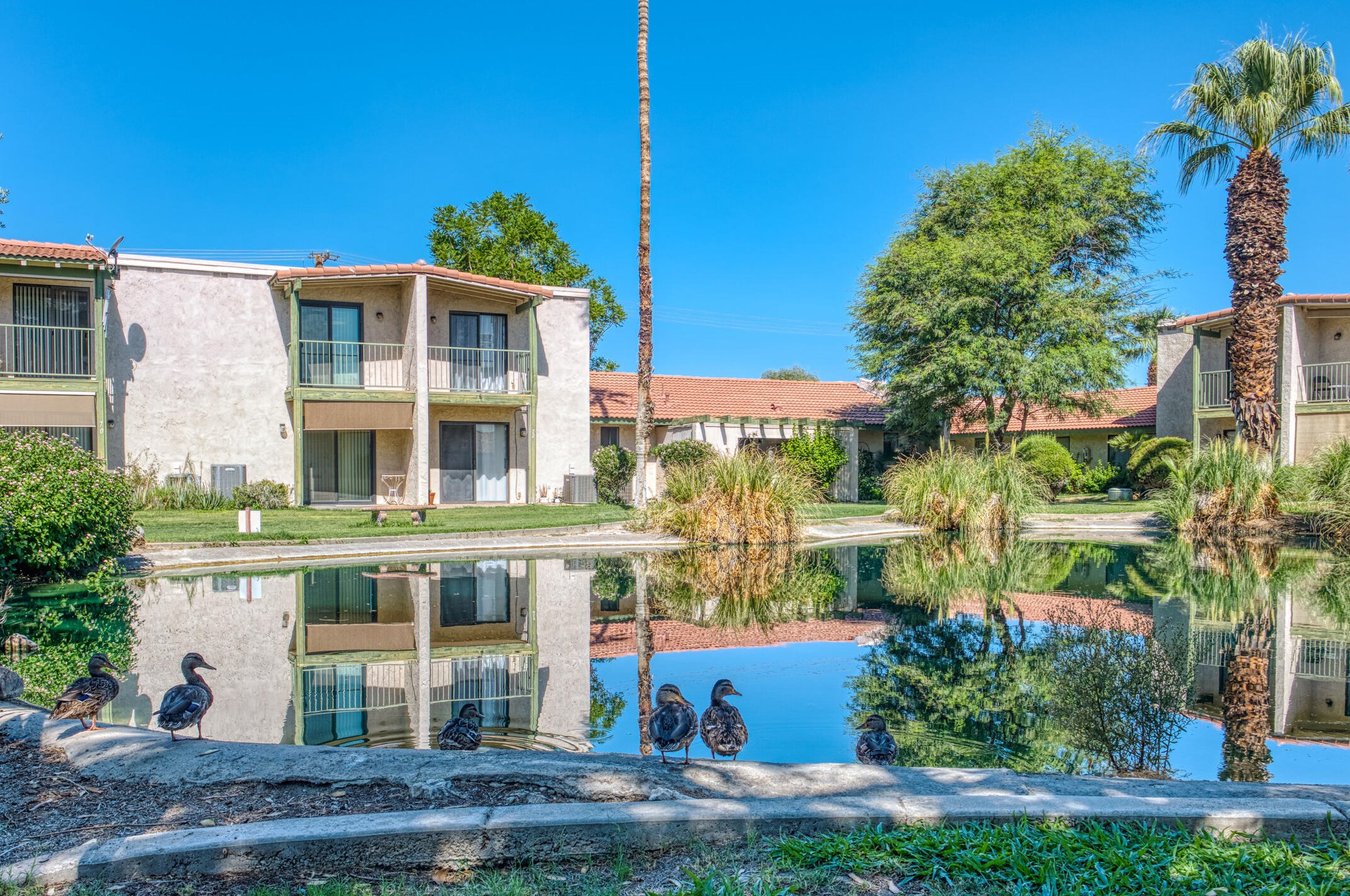 7 Lakeview Cir, Cathedral City CA  92234-6056 exterior
